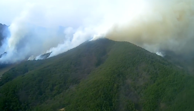 (사진제공=산림청)