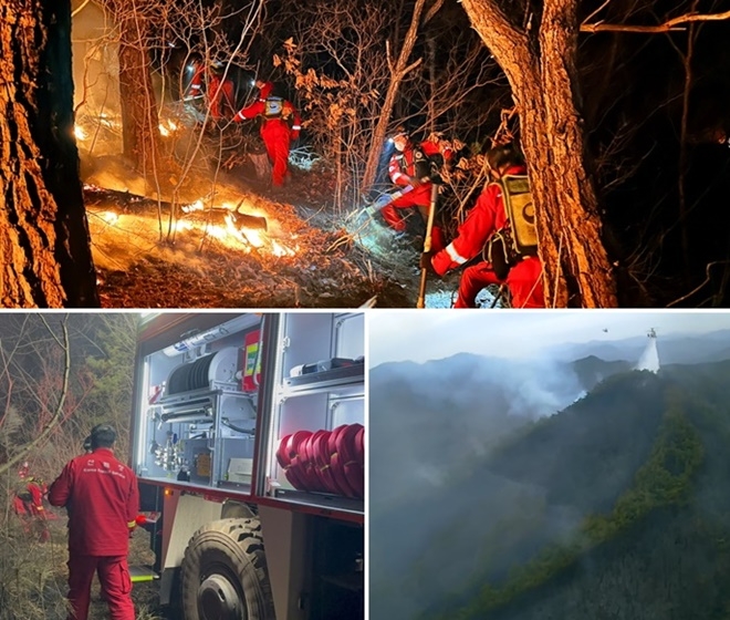 (사진제공=산림청)