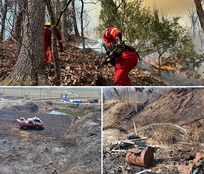 (사진제공=산림청)