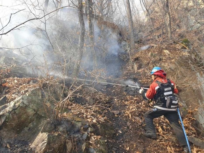 (사진제공=산림청)