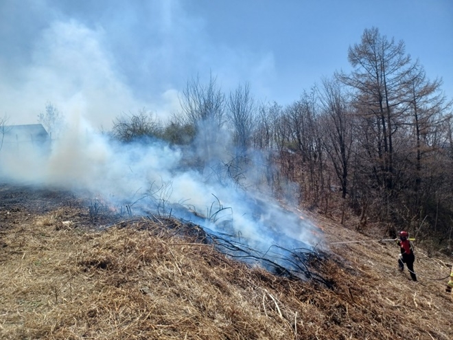 (사진제공=산림청)