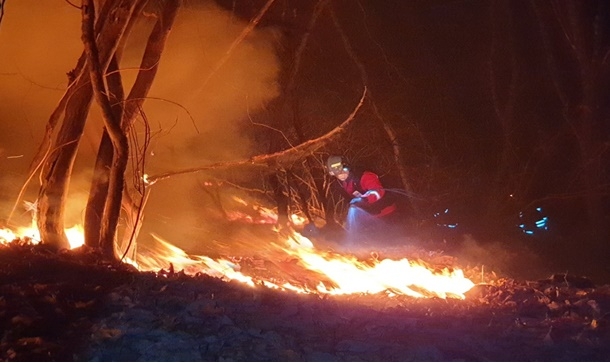 (사진제공=산림청)
