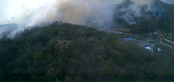 (사진제공=산림청)