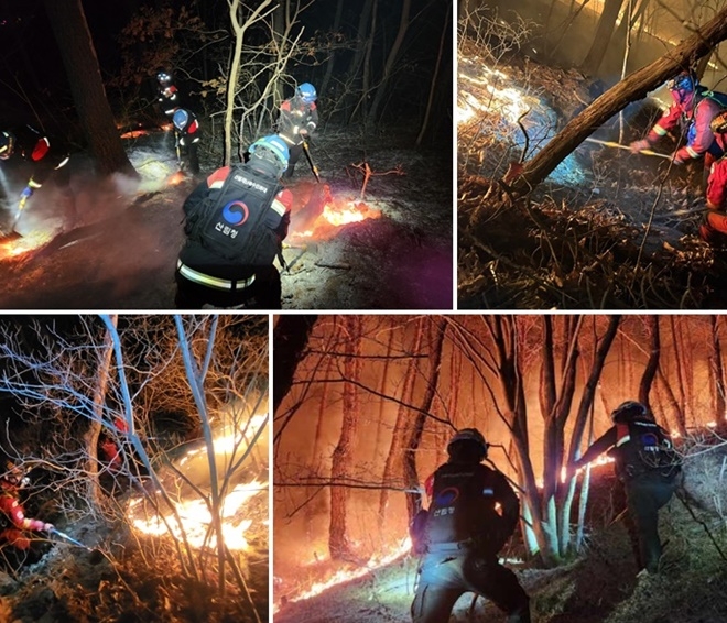 (사진제공=산림청)