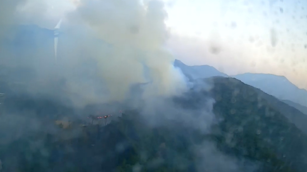 (사진제공=산림청)