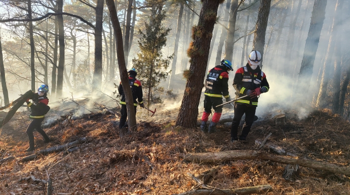 (사진제공=산림청)