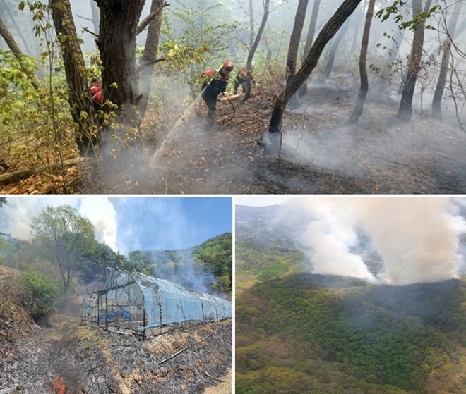 (사진제공=산림청)