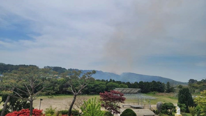 (사진제공=산림청)