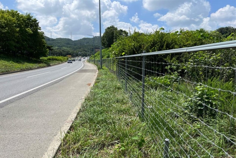 도로공사 "고속도로 동물찻길사고 5~6월 최다 발생"