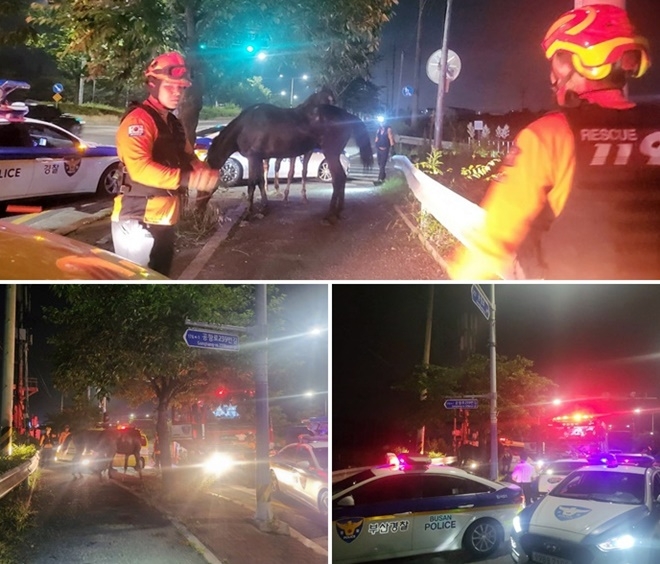 (사진제공=부산경찰청)