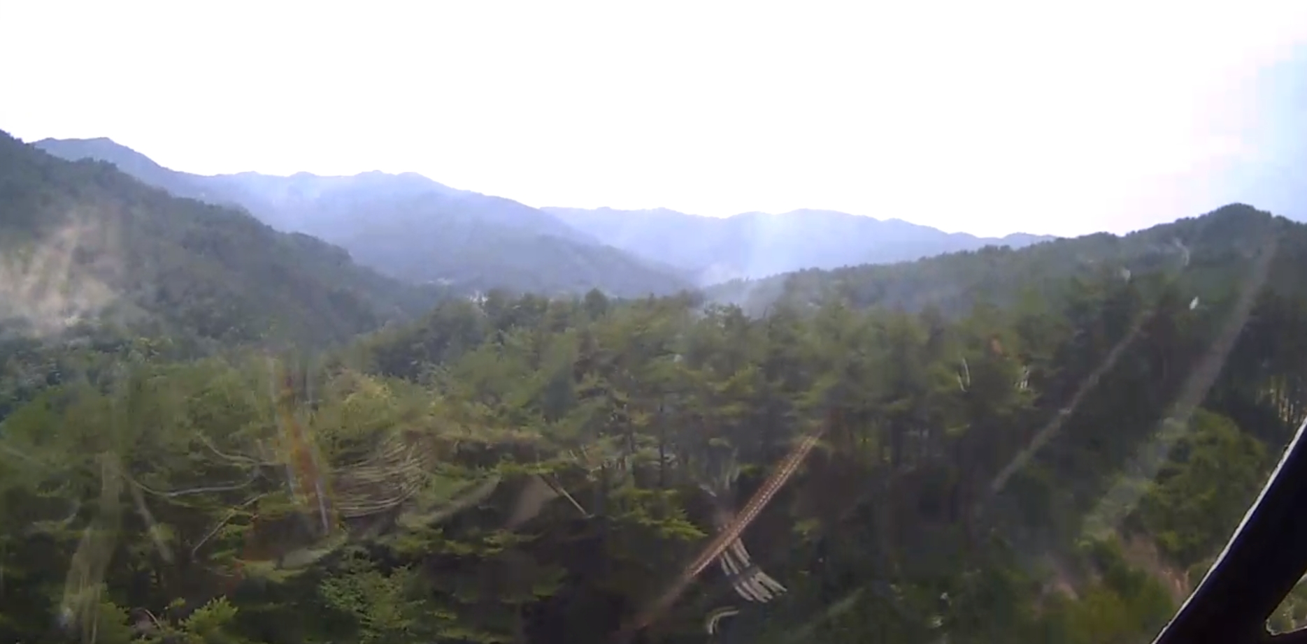 (사진제공=산림청)