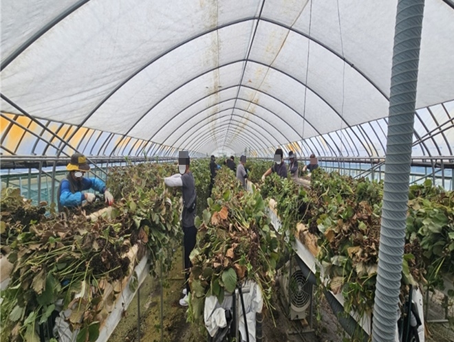 (사진제공=대전준법지원센터)