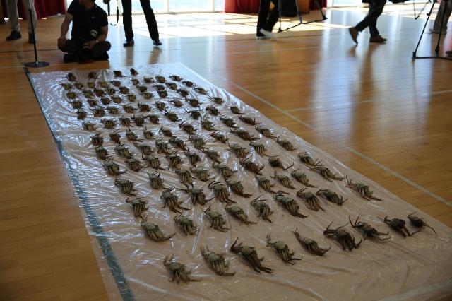 (사진제공=울산해양경찰서)