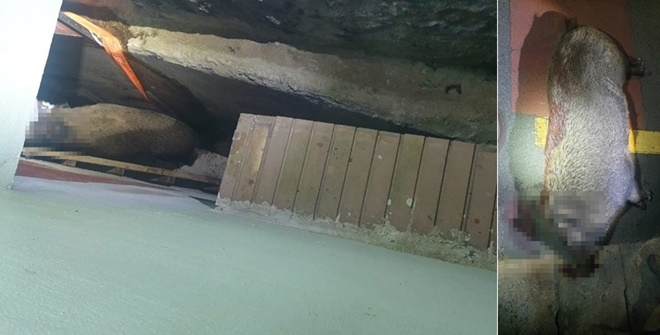 (사진제공=부산경찰청)