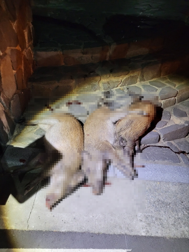 (사진제공=부산경찰청)