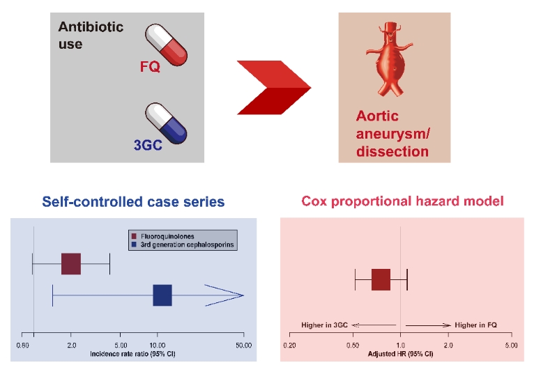 콕스비례위험모형(Cox proportional hazard model)과 자기-대조 환자군 연구(self-controlled case series) 결과. 사진=한국연구재단
