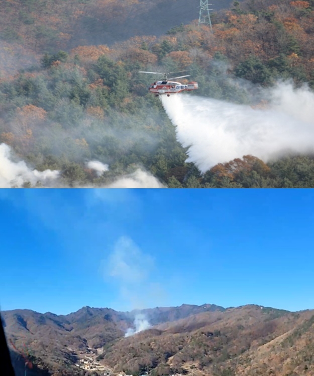 (사진제공=산림청)