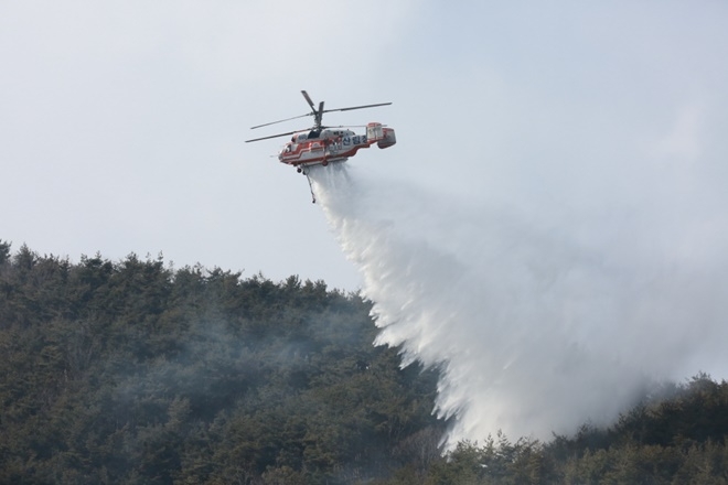 (사진제공=산림청)