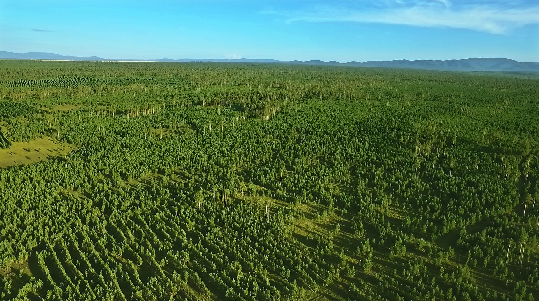 유한킴벌리, 21년 연속 ‘한국에서 가장 존경받는 기업’ 선정