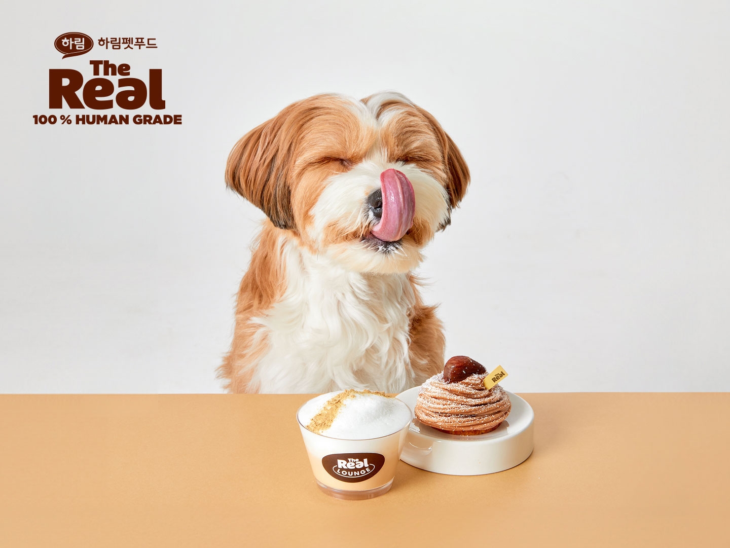 하림펫푸드, 반려동물 간식 시식 행사 실시