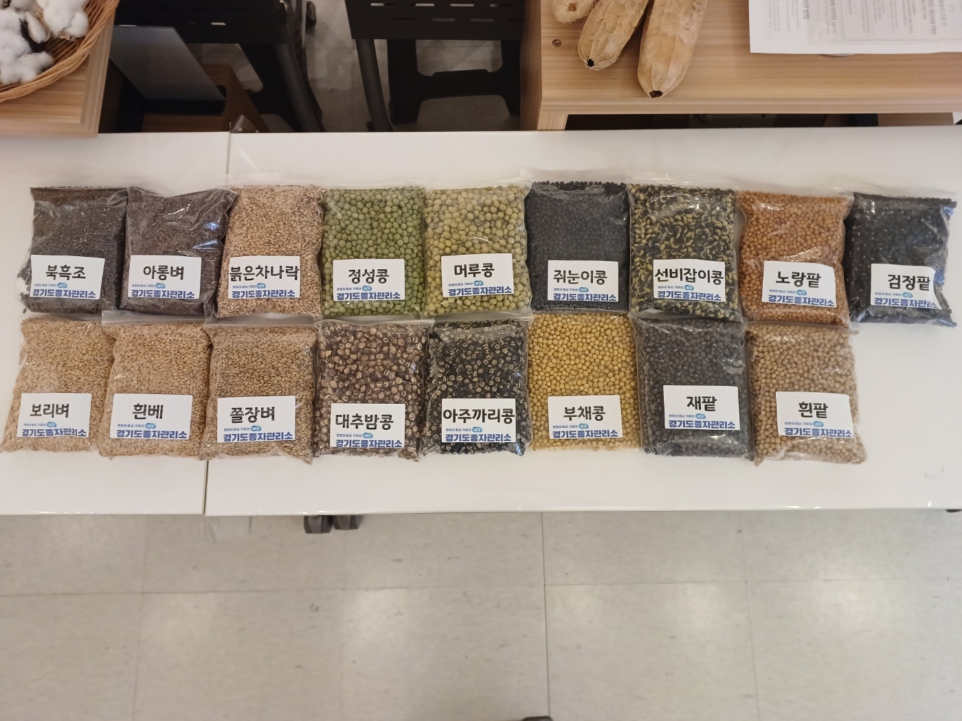 경기도 종자관리소 토종종자