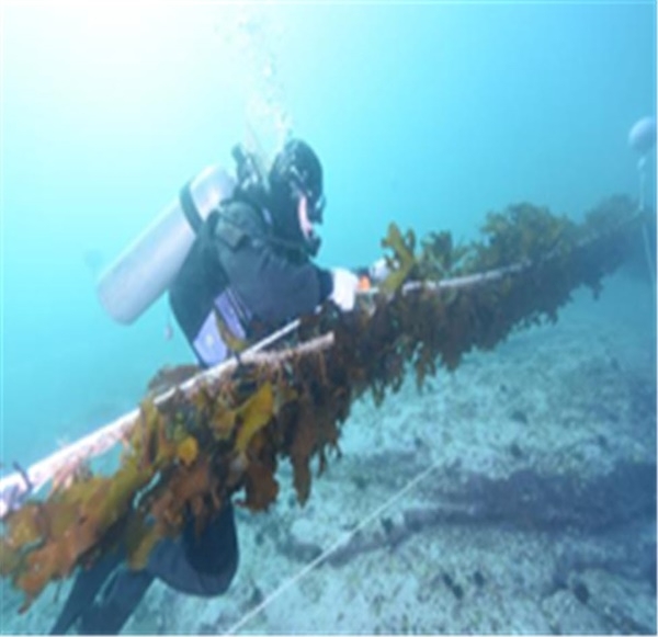 (사진제공=부산 기장군)
