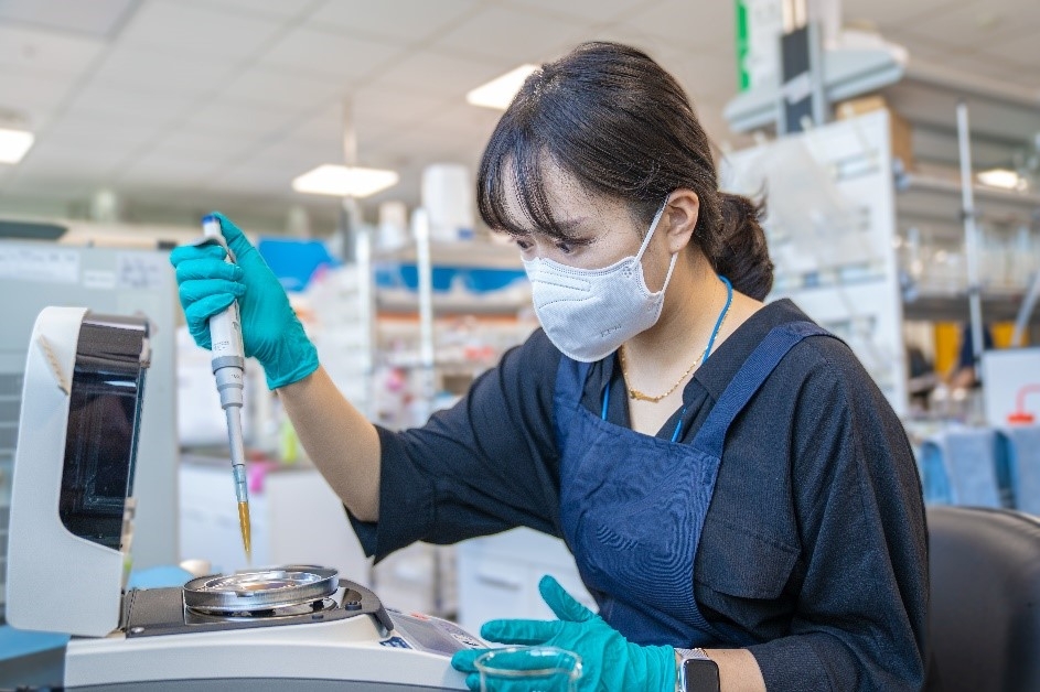 콜마BNH, 당귀유래유산균 체지방 감소 개별인정형 원료 개발 박차