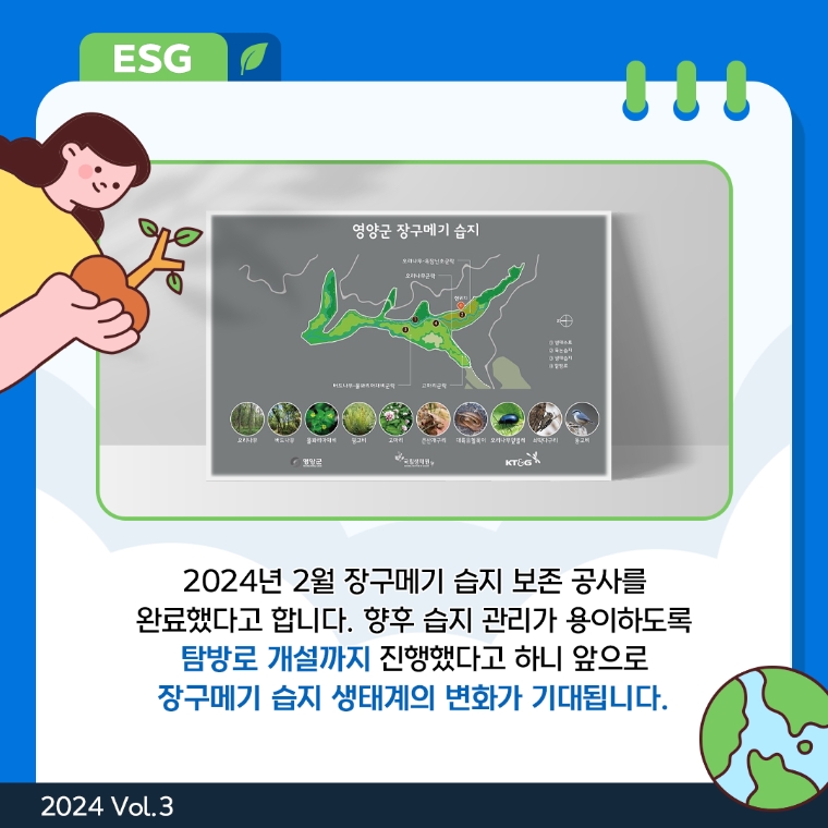 [카드뉴스] KT&G, 국립생태원과 '장구메기 습지 보존 공사' 완료