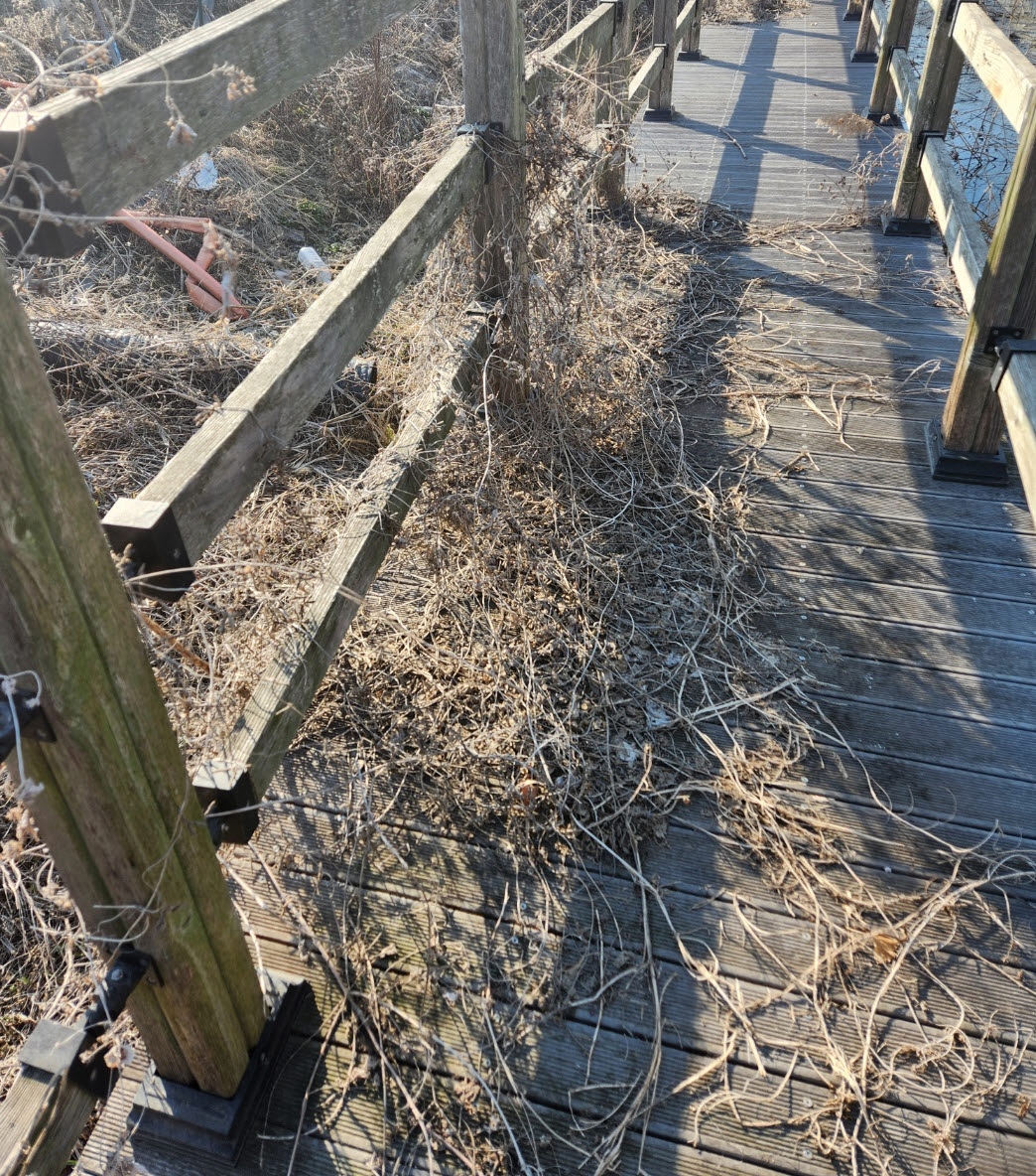 물병과 건축 페자재 등이 널려 있어 관리가 제대로 되지 않고 있는 탐방로