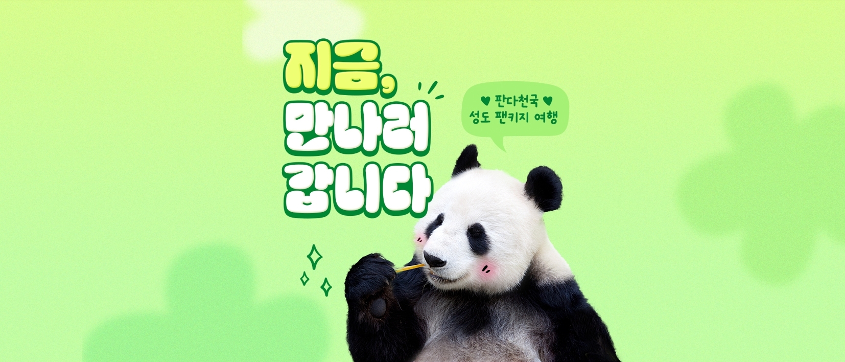 하나투어, 성도 팬키지 여행 출시