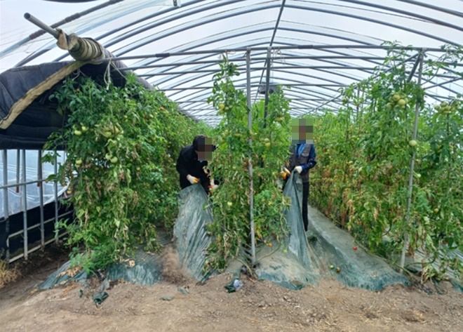 (사진제공=부산서부준법지원센터)