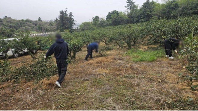 (사진제공=제주보호관찰소)