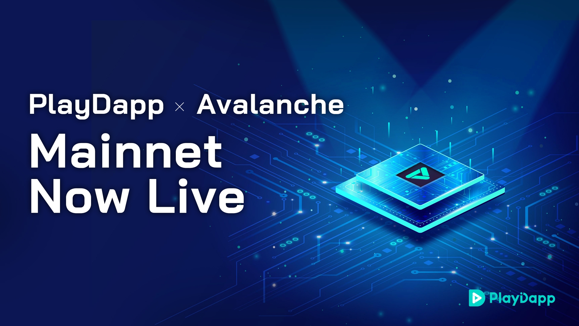 플레이댑 자체 메인넷 런칭