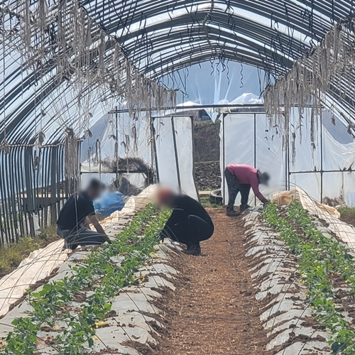 (사진제공=부천준법지원센터)