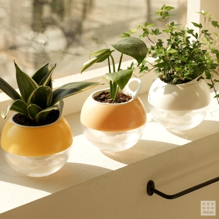 아성다이소, ‘원예 대전’ 실시