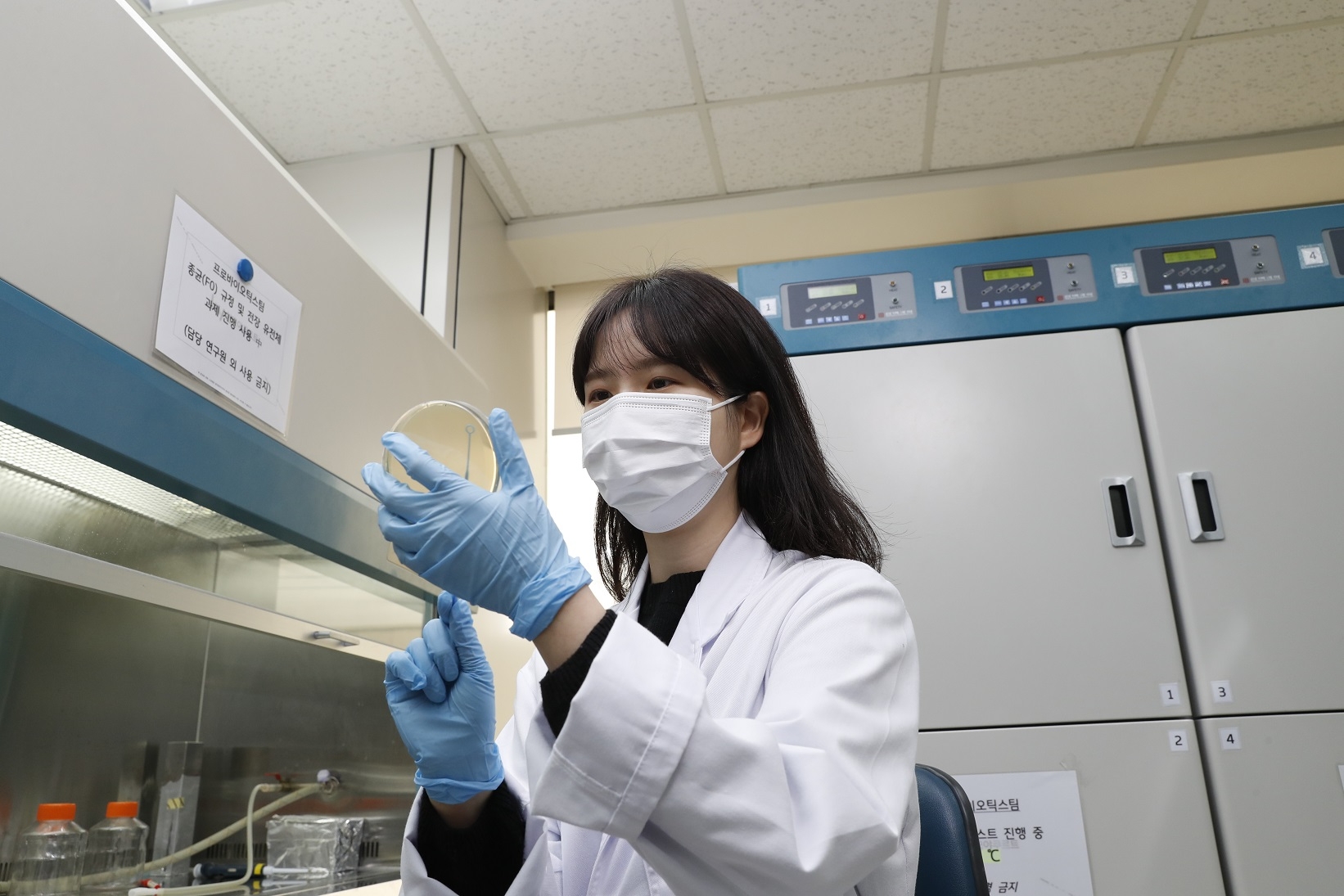 hy, 자체개발 소재 발효녹용 국제학술지 게재