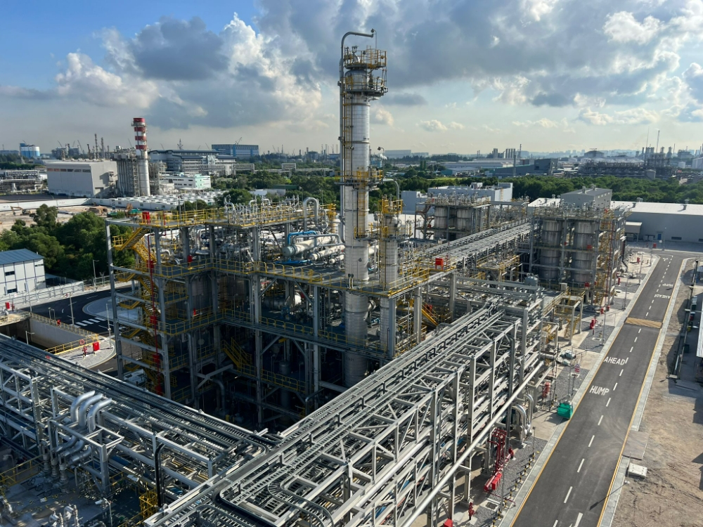 DL이앤씨가 싱가포르 주롱섬 내에 건설한 카리플렉스 의료용 라텍스 공장 전경.(사진=DL이앤씨)