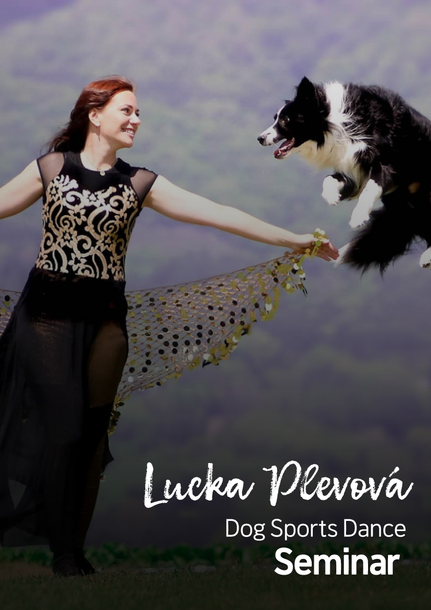 강아지숲, ‘도그스포츠 댄스 세미나’ 개최