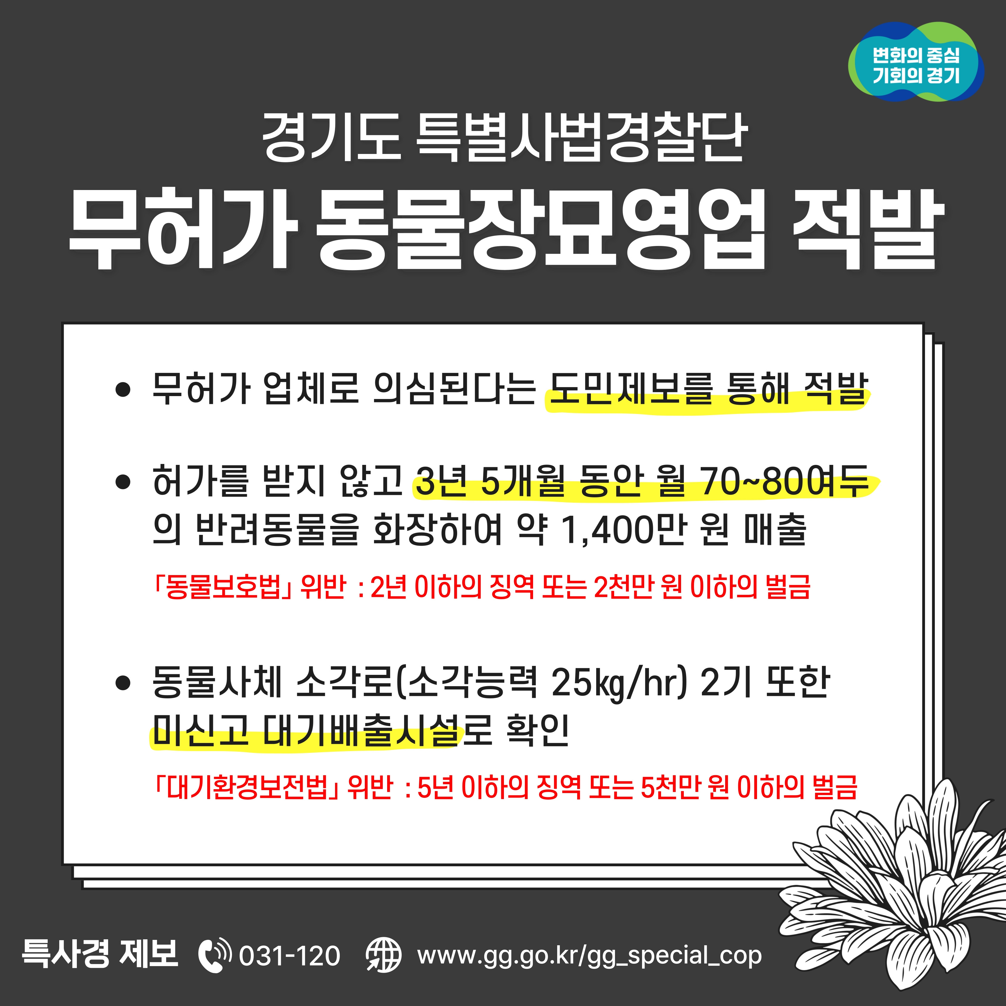 적발사례 안내