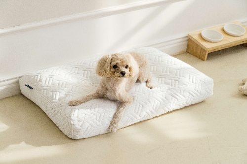 웰크론, ‘쿨쿨아이스 냉감 펫방석’ 선보여