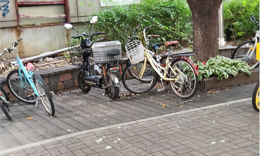 미관광장4호의 주변에 방치된 자전거와 너져분한 화단 주변