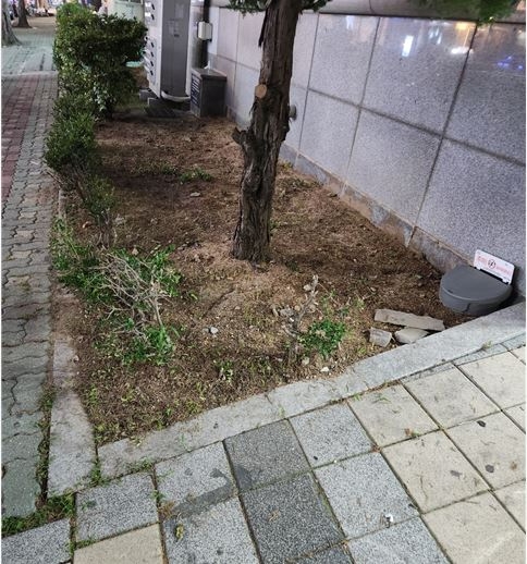 정리되지않은 화단