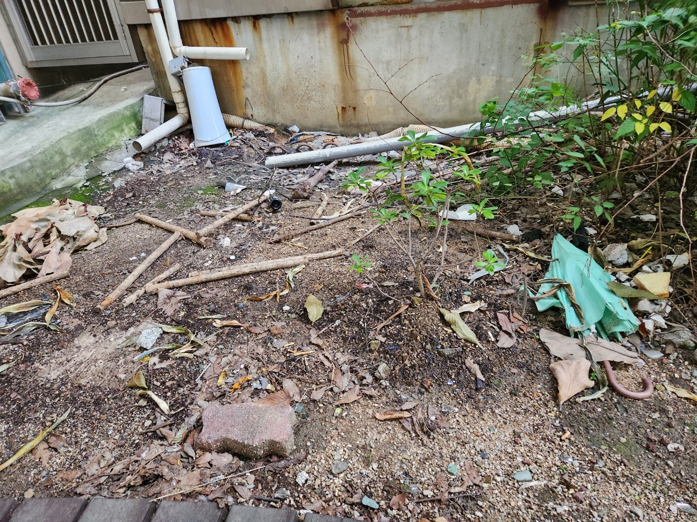 잡다한 쓰레기가 널려있는 화단