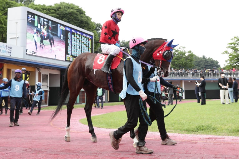 한국경마 7월 마지막 주 하이라이트 '1등급 1800m' 28일 대결
