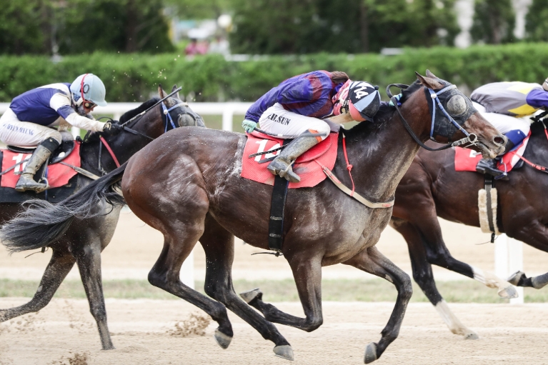 제39회 KRA컵 클래식(G2) 대상경주서 명마들 격돌