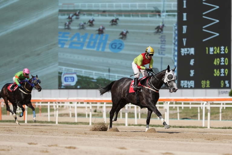 제39회 KRA컵 클래식(G2) 대상경주서 명마들 격돌