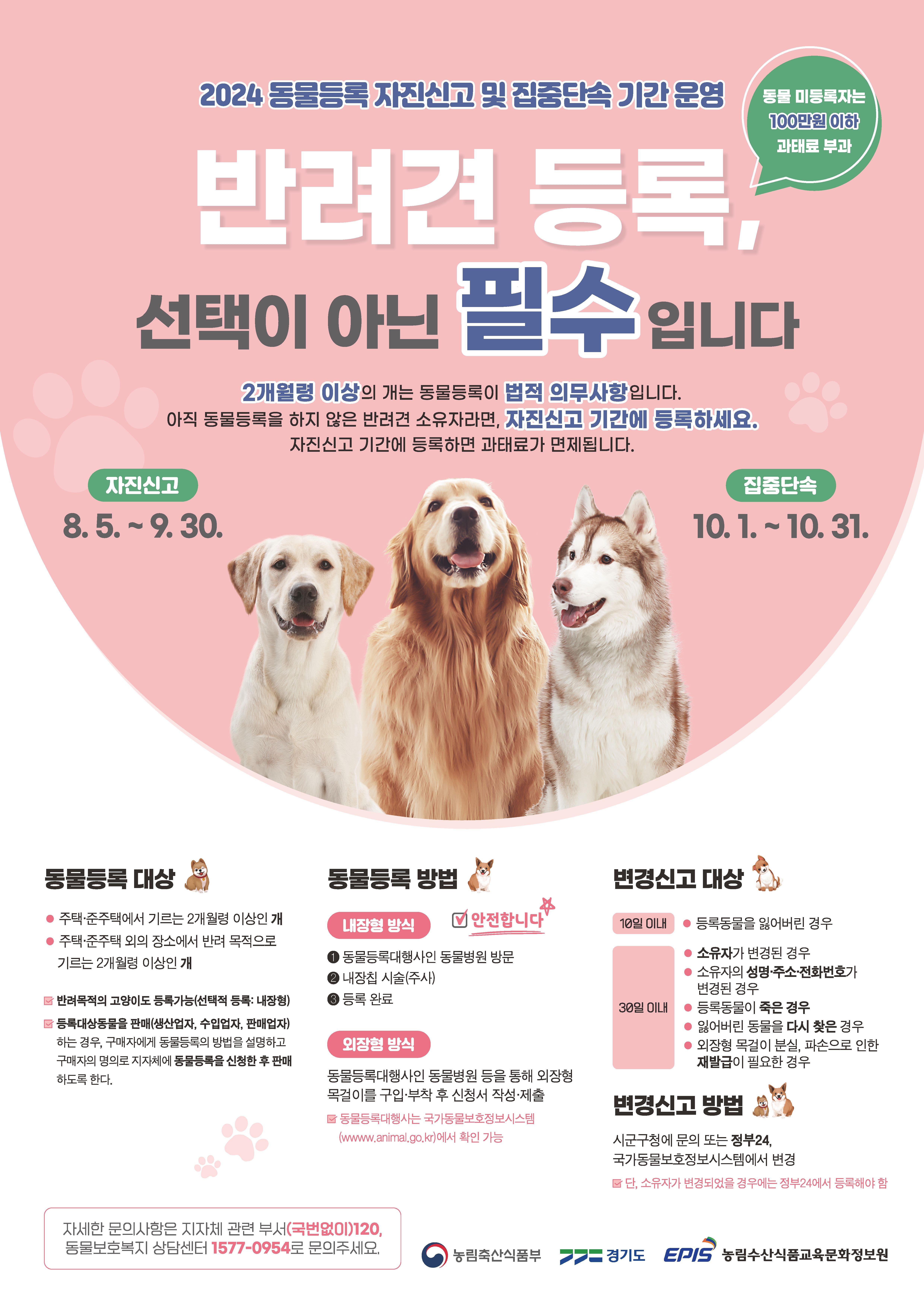 반려동물 등록 자진신고 기간 운영 홍보물