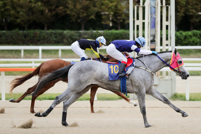 2023년 문화일보배 우승의 나이스타임 결승선 통과 장면. 사진=마사회