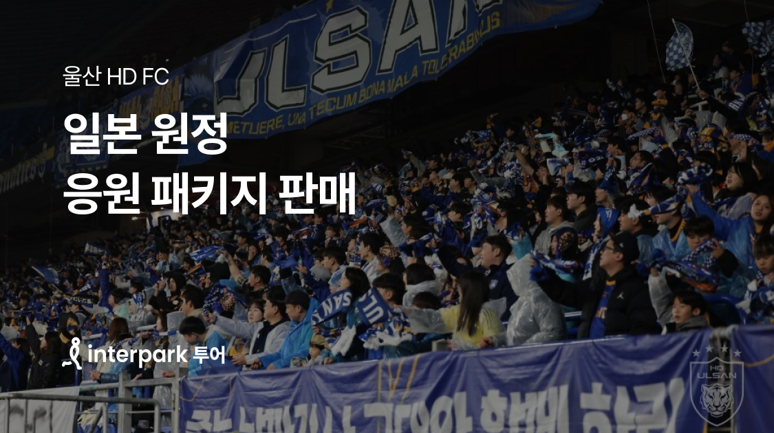 인터파크 투어, 일본 원정응원 패키지 판매