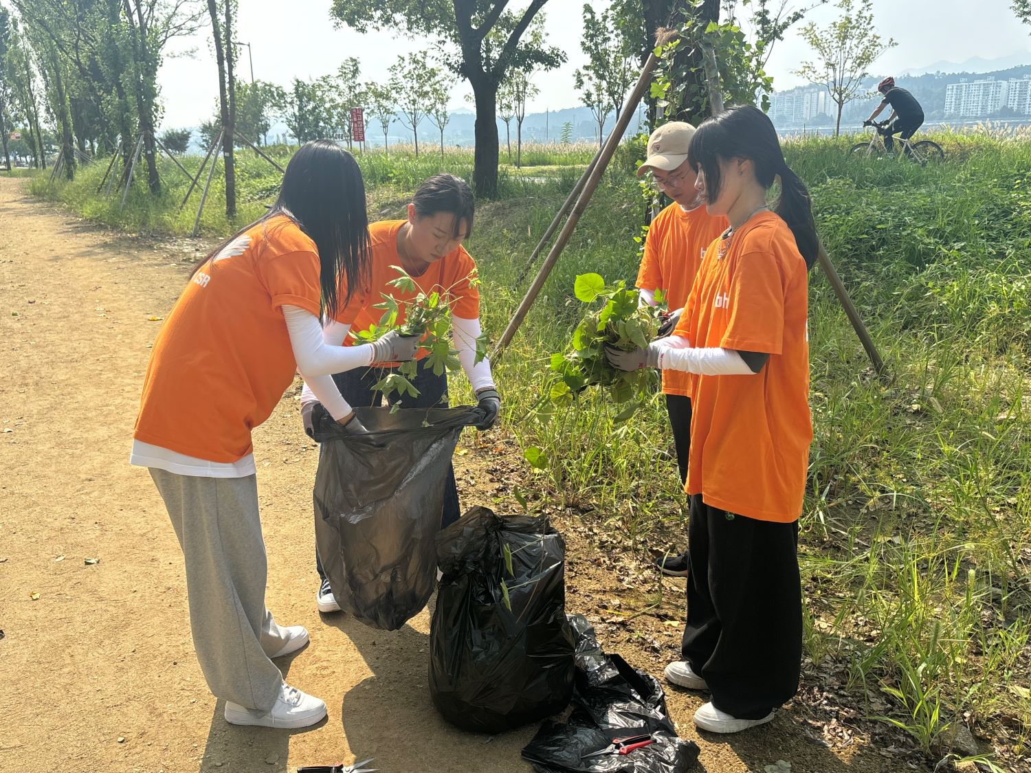bhc 치킨 대학생 봉사단, 생태교란식물 제거 활동 실시